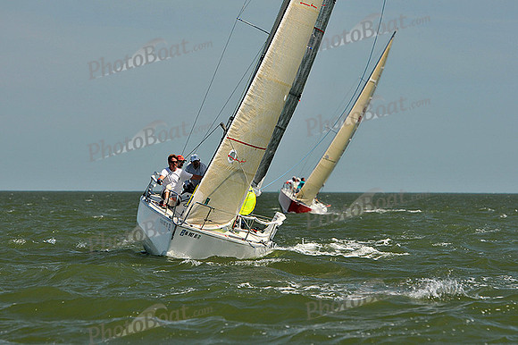 2013 Southern Bay Race Week D 449