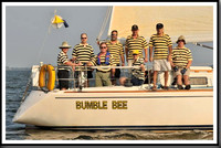 proof_2010 Gov Cup A 135