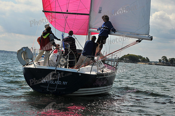 2010 IRC LIS 1868