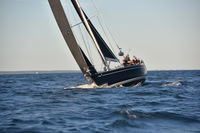 2020 Vineyard Race C_0037
