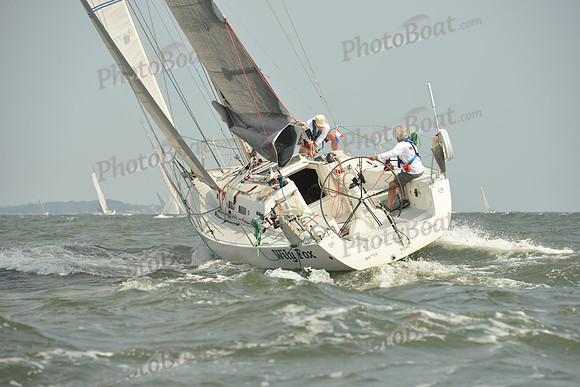 2015 Vineyard Race A 986