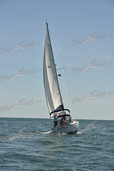 2024 Figawi 0118