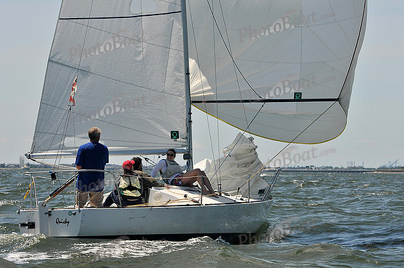 2014 Southern Bay Race Week C 1491
