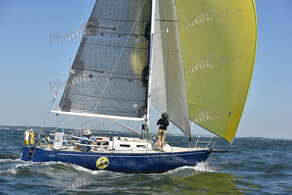 2019 Vineyard Race A_0957
