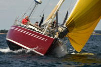 2016 Chester Race Week A 204