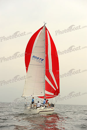 2013 Vineyard Race A 296