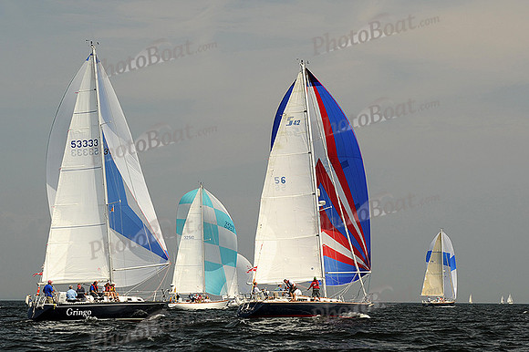 2013 Vineyard Race A 913