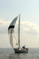 2013 Vineyard Race A 1951