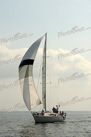 2013 Vineyard Race A 1951