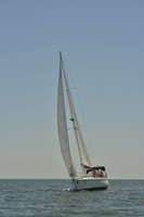 2017 Southern Bay Race Week B_1120