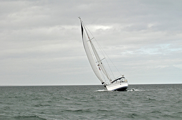 2009 J105 NAs D 1233