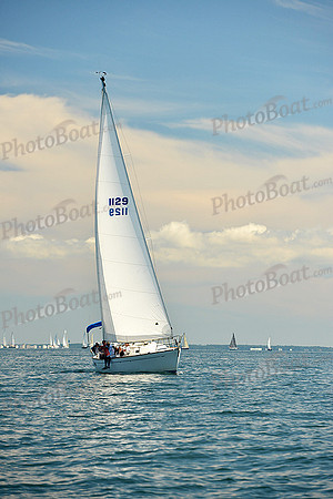 2015 Cape Charles Cup C 336