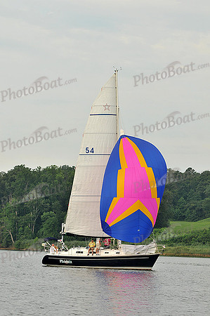 2013 Gov Cup C 651