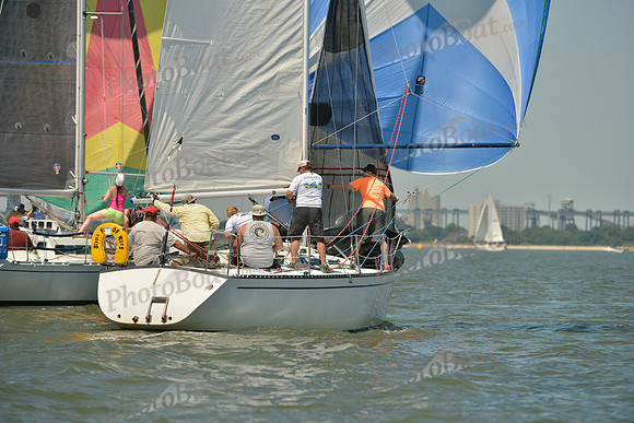 2017 Southern Bay Race Week A_0684