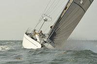2015 Vineyard Race A 790