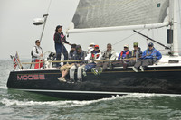 2018 Figawi_2654