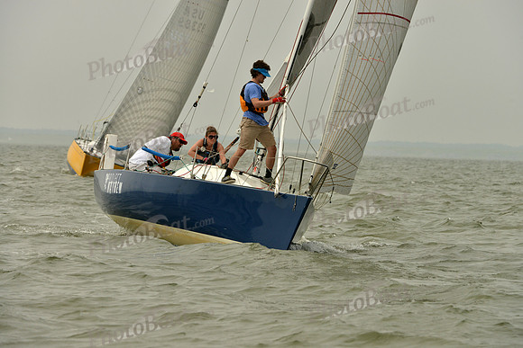 2016 Southern Bay Race Week A_0502