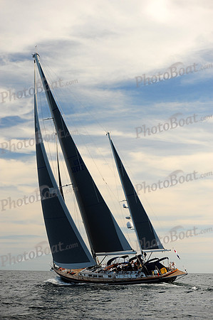 2014 Newport Bermuda A 2636