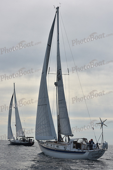 2019 Around Marthas Vineyard A_0401