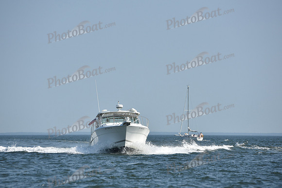 2019 Vineyard Race A_3027