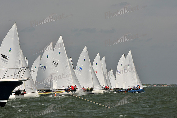 2012 Thistle Midwinters B 1083