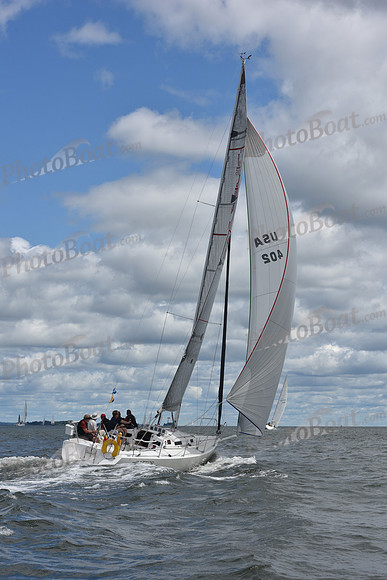 2021 Vineyard Race A 0482