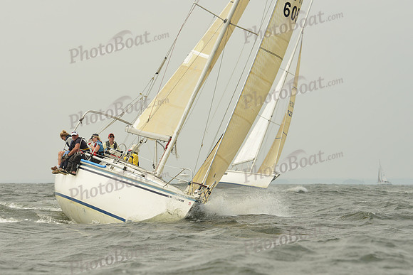 2015 Vineyard Race A 205