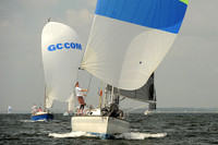 2013 Vineyard Race A 447
