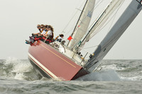 2015 Vineyard Race A 261