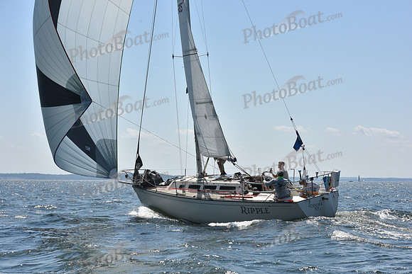 2020 Vineyard Race A_0441