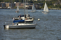 2016 NY Architects Regatta_0005