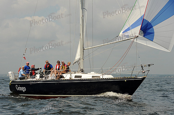 2013 Vineyard Race A 876
