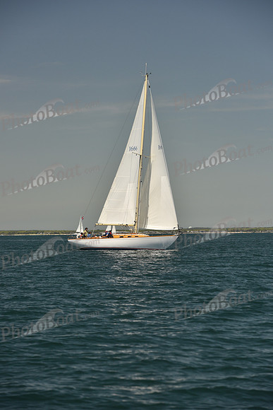 2024 Figawi 1154