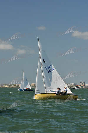 2012 Thistle Midwinters C 478