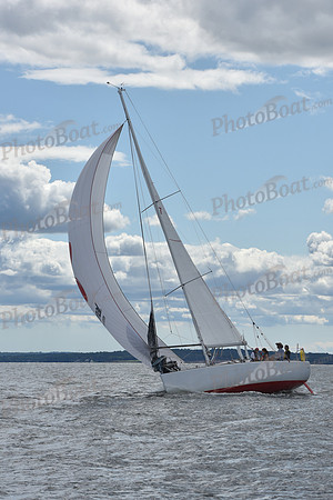 2021 Vineyard Race A 2008