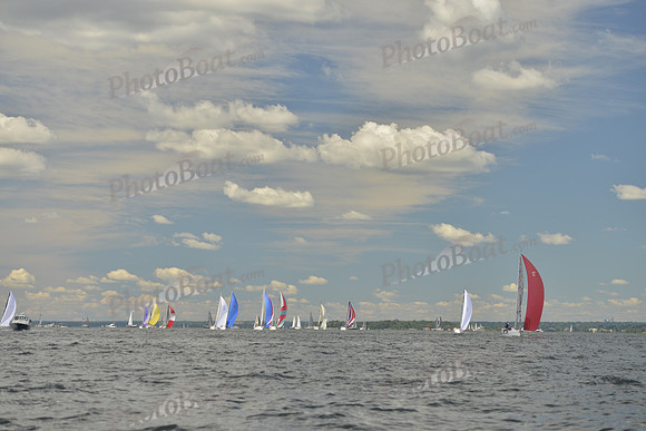 2016 Vineyard Race A_0427