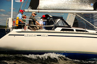 2014 Vineyard Race A 241