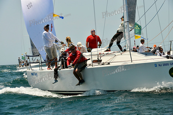 2016 NYYC Race Week A 338