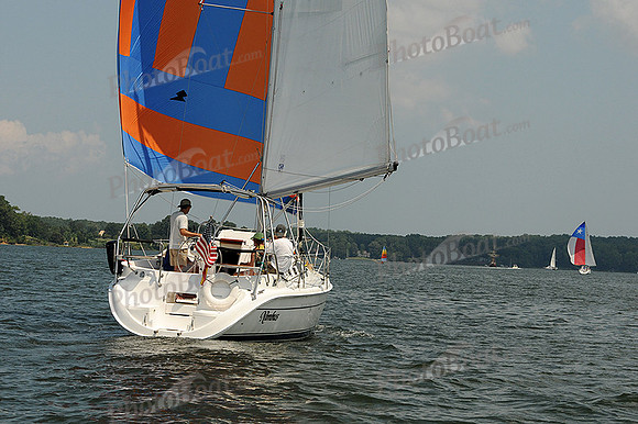 2012 Gov Cup D 341