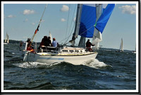 proof_2010_Vineyard_Race_0154