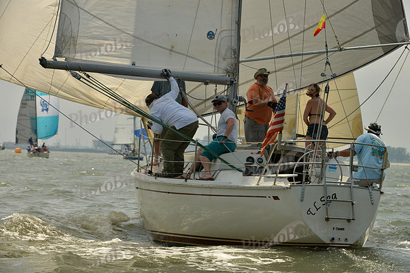 2016 Southern Bay Race Week B_0184