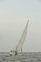 2015 Vineyard Race A 102