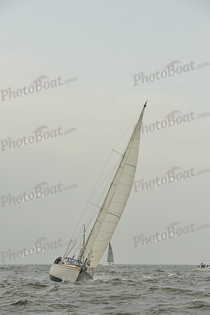 2015 Vineyard Race A 102
