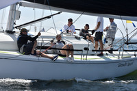 2020 Vineyard Race A_0878