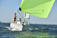 2019 Vineyard Race A_0520