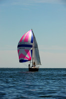 2015 Cape Charles Cup B 505