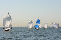 2011 HPDO A 803