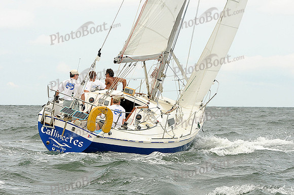 2012 Cape Charles Cup A 1523