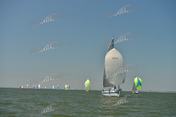 2017 Southern Bay Race Week B_0535