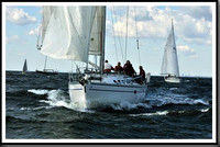 proof_2010_Vineyard_Race_0065